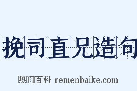 挽司直兄造句是什么意思的图片